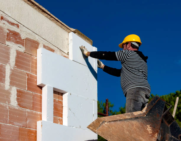 Best Insulation Repair Services  in Toulon, IL