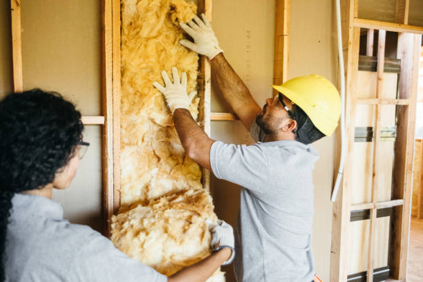 Best Professional Insulation Contractor  in Toulon, IL