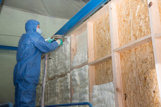 Best Insulation Removal  in Toulon, IL