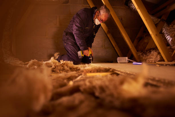 Best Affordable Insulation Services  in Toulon, IL